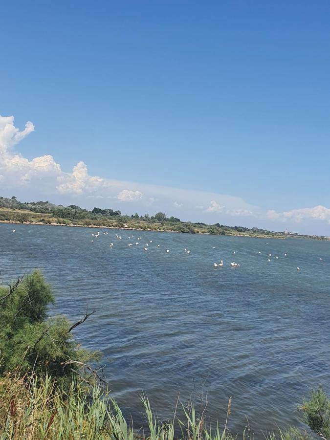 Vacances En Camargue Льо Гро-дю-Роа Екстериор снимка
